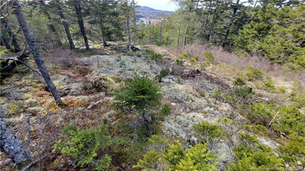 Lot 13 Eagles Passage, Chamcook, NB