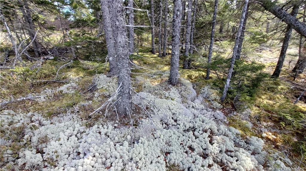 Lot 13 Eagles Passage, Chamcook, NB
