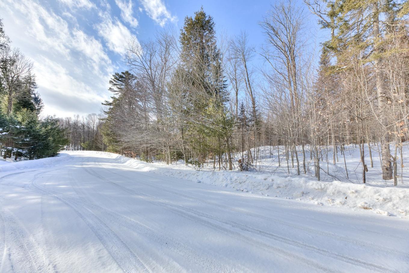 Terre/Terrain - Rue De La Butte, Brownsburg-Chatham, QC