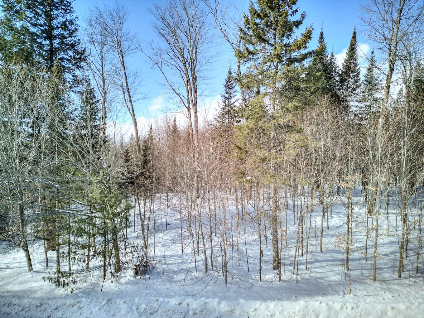 Terre/Terrain - Rue De La Butte, Brownsburg-Chatham, QC