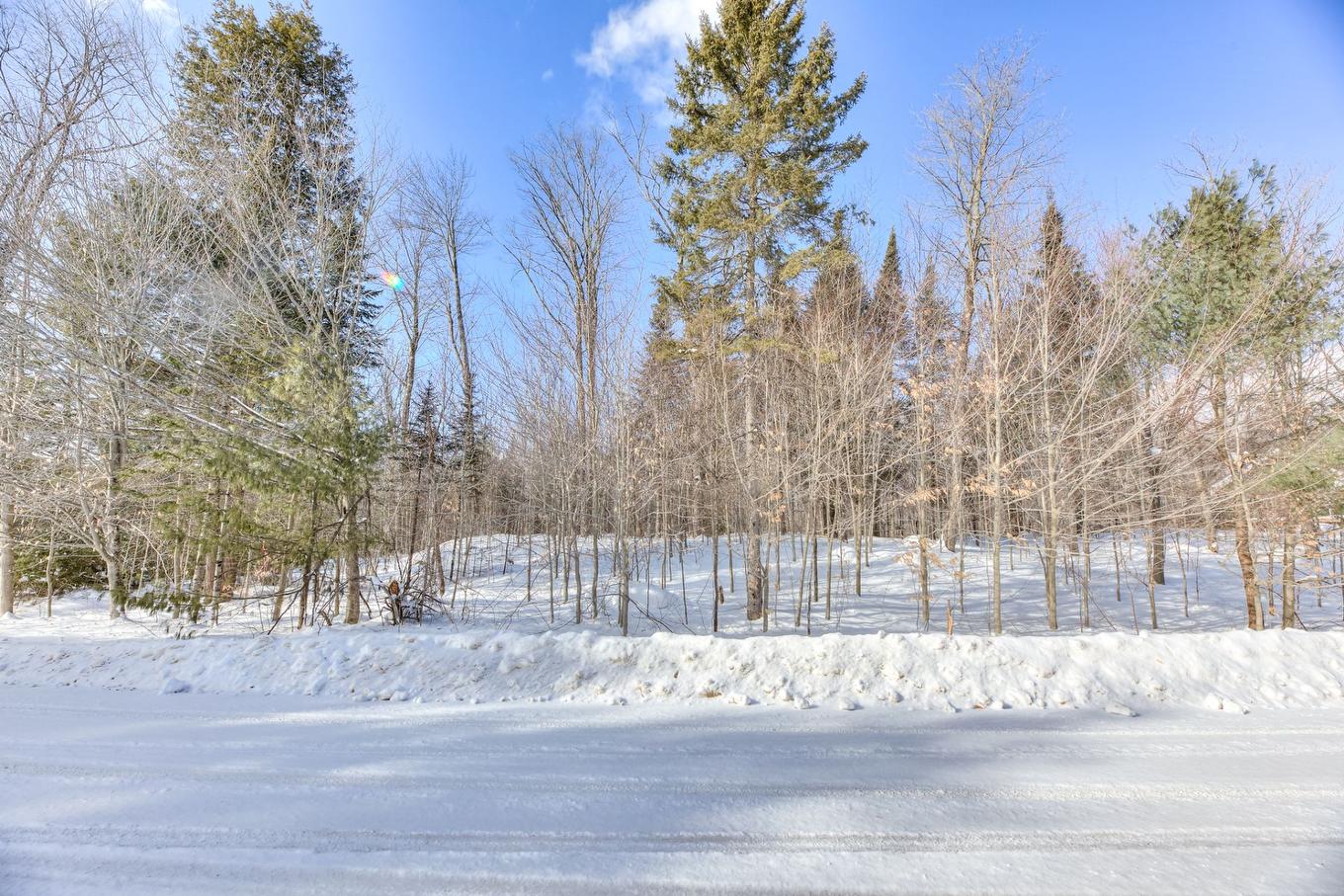 Terre/Terrain - Rue De La Butte, Brownsburg-Chatham, QC