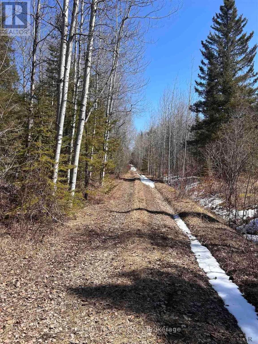 S 1/2 Lt 4 Con 2 Lamarche Twp, Cochrane, ON