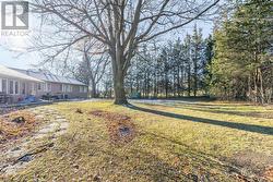 358 Maple Avenue, Halton Hills -