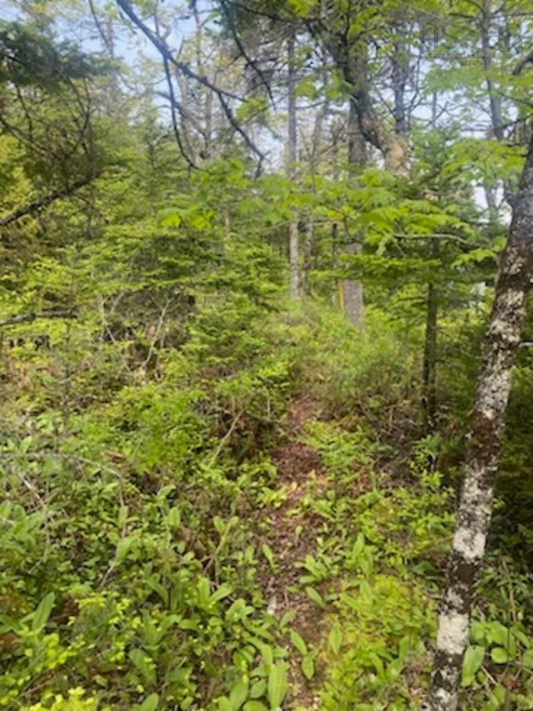 125 Brans Way, Williamswood, NS