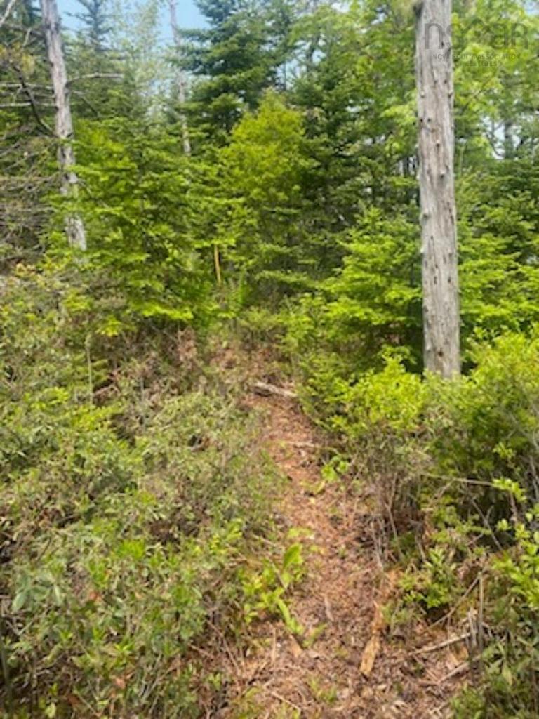 125 Brans Way, Williamswood, NS