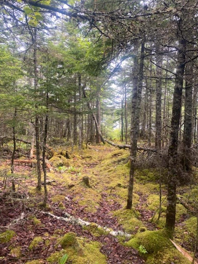 125 Brans Way, Williamswood, NS