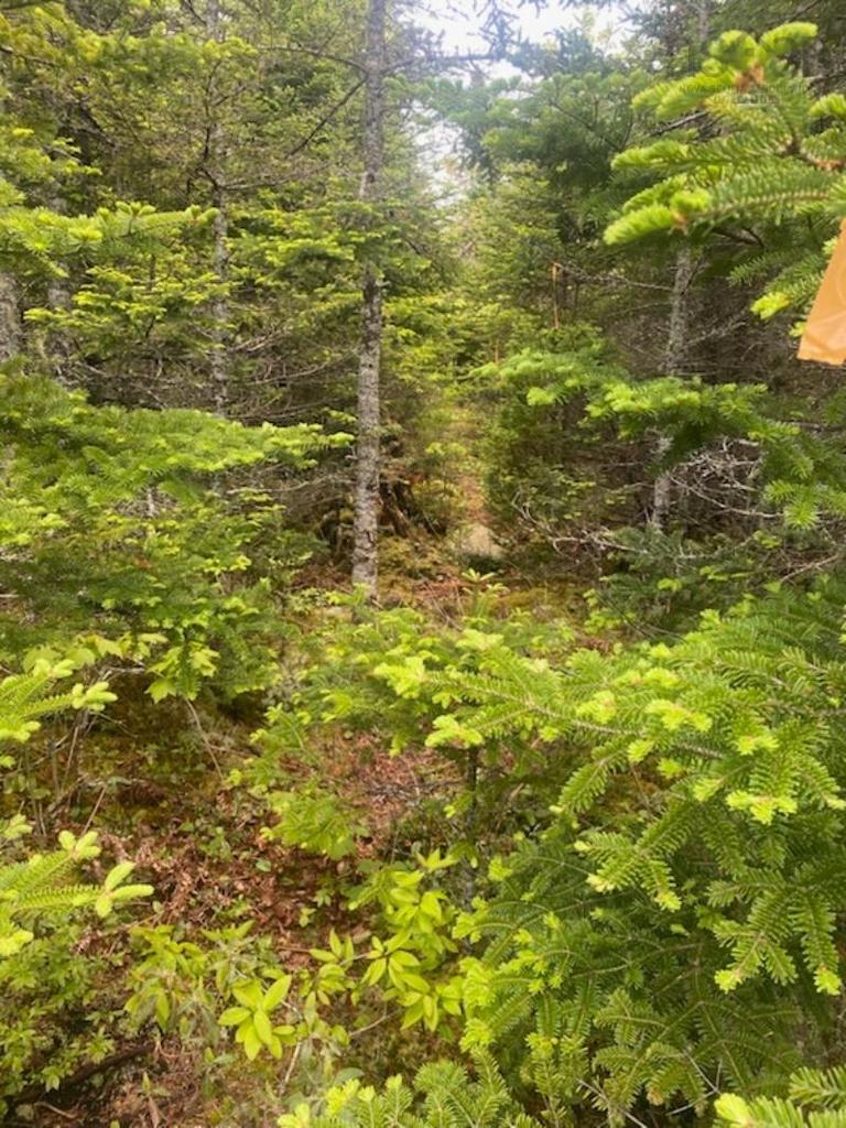 125 Brans Way, Williamswood, NS