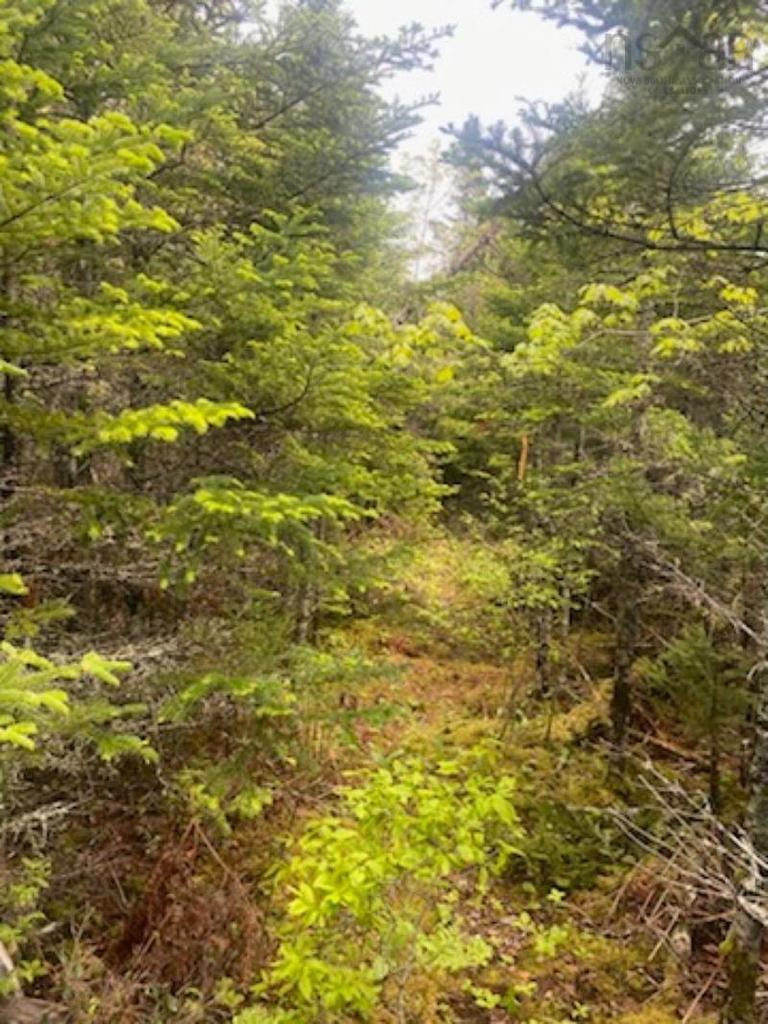 125 Brans Way, Williamswood, NS