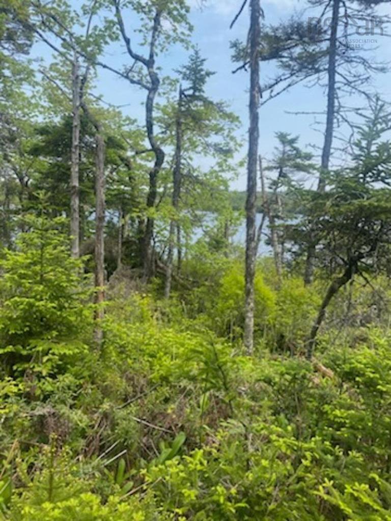 125 Brans Way, Williamswood, NS