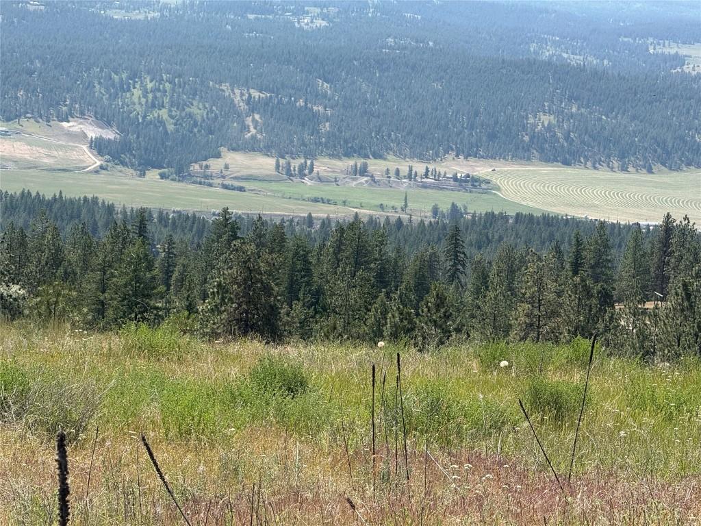 Lot 2 Whiskers Hill Road, Pritchard, BC