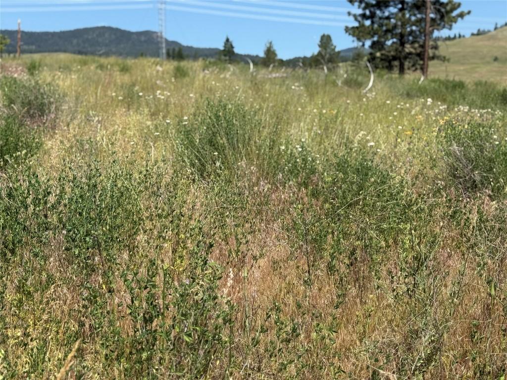 Lot 2 Whiskers Hill Road, Pritchard, BC