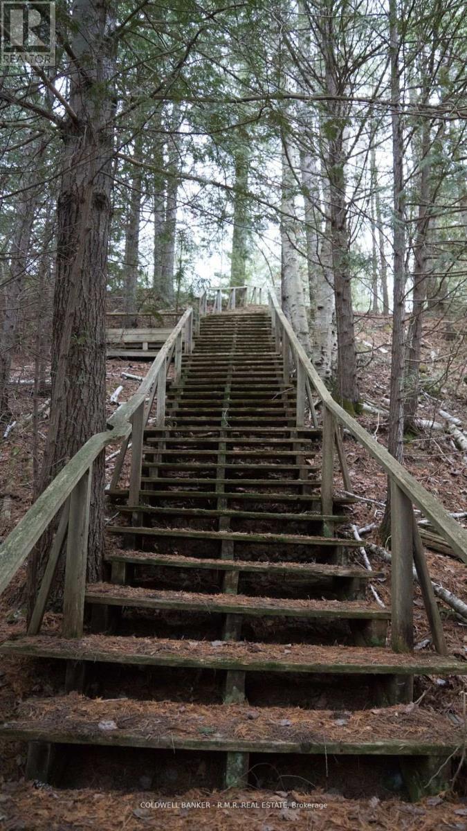 8860 County Rd 41, Addington Highlands (Addington Highlands), ON