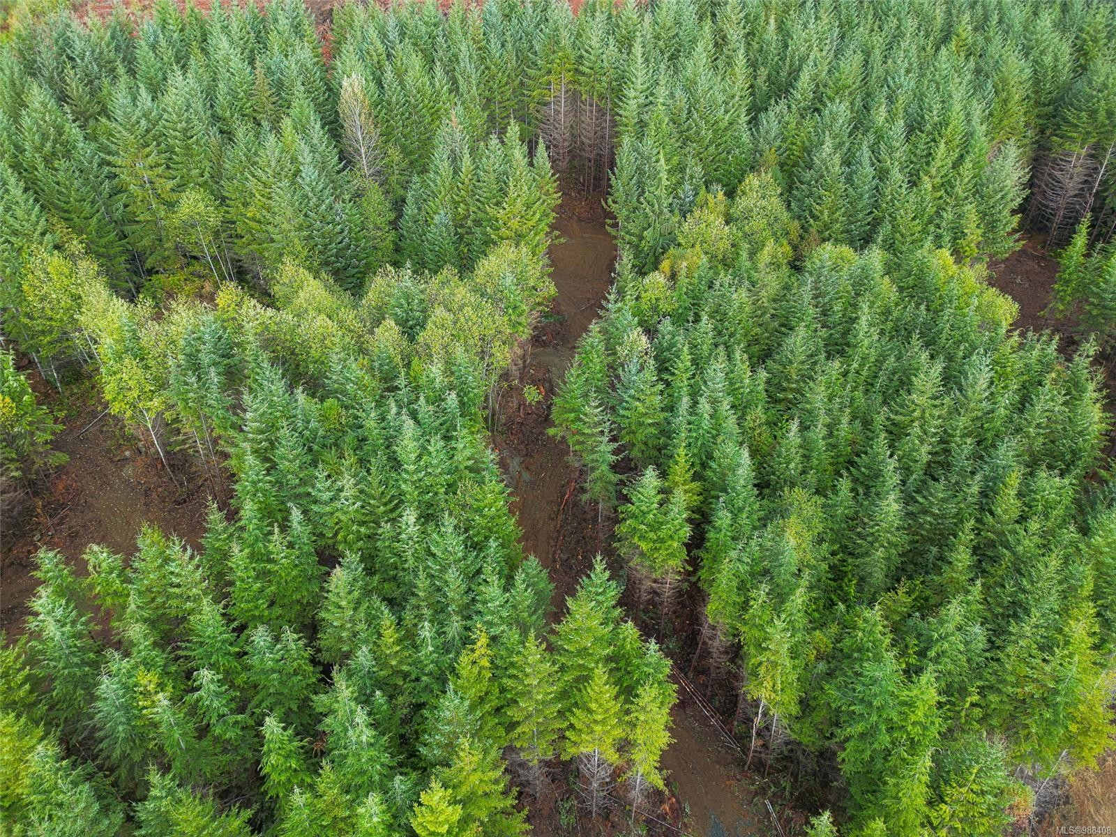 12140 Creekside Glen, Sooke, BC