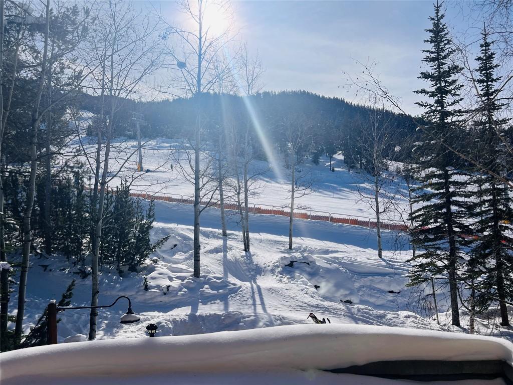 203-2090 Summit Drive, Panorama, BC - Outdoor With View