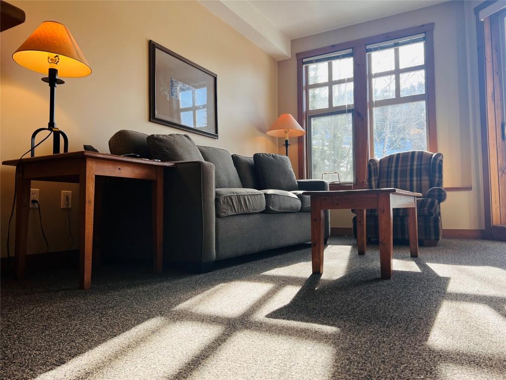 203-2090 Summit Drive, Panorama, BC - Indoor