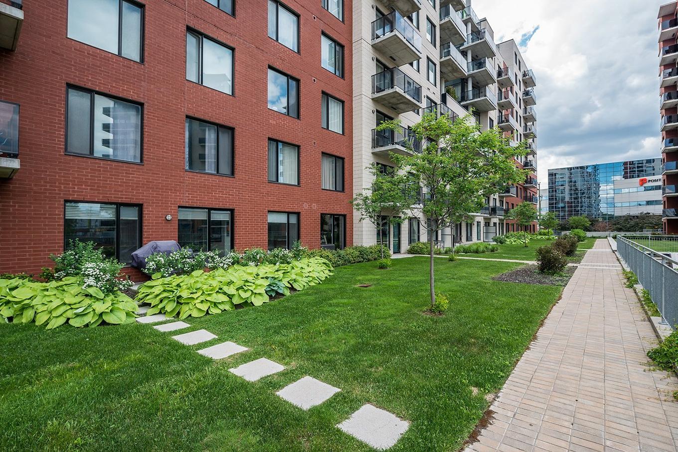 Jardin - 605-7501 Av. Mountain Sights, Montréal (Côte-Des-Neiges/Notre-Dame-De-Grâce), QC - Outdoor