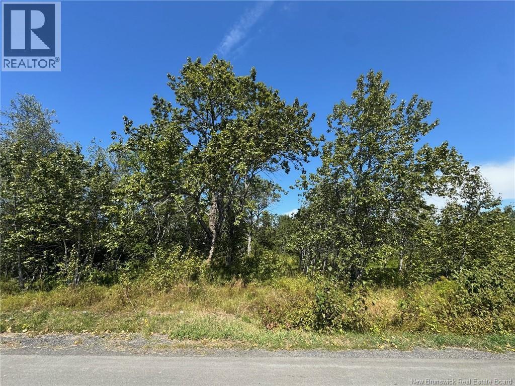 448 Route 280, Dundee, NB