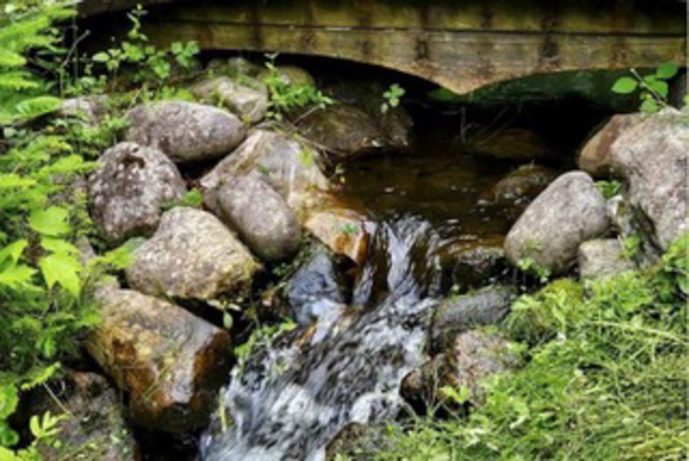 Autre - 14 2E Rue Du Domaine-Bavarois, Saint-Sauveur, QC - Outdoor