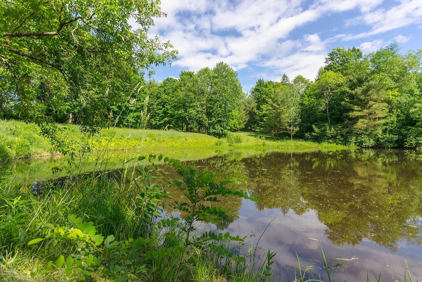 Vue sur l'eau - 35 Rue Academy, Sutton, QC - Outdoor With Body Of Water With View