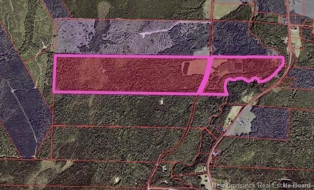 Lot 3 Shortall Rd, South Branch, NB