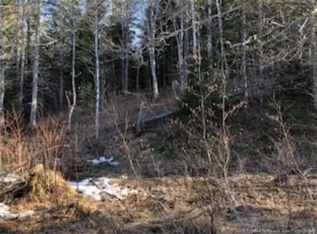Lot 3 Shortall Rd, South Branch, NB