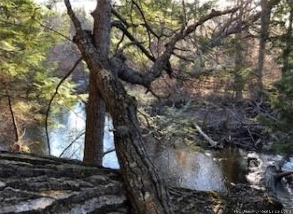 Lot 3 Shortall Rd, South Branch, NB
