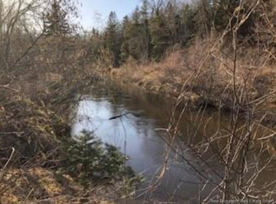 Lot 3 Shortall Rd, South Branch, NB
