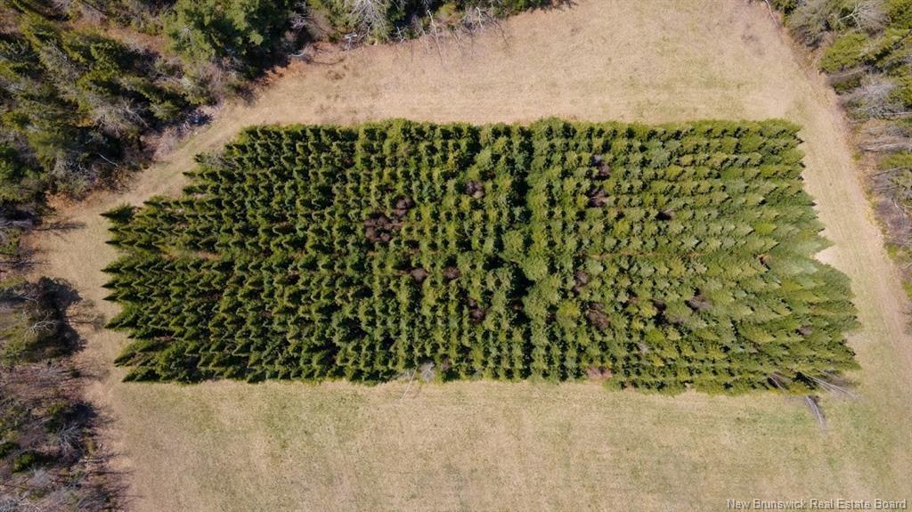 Lot 3 Shortall Rd, South Branch, NB