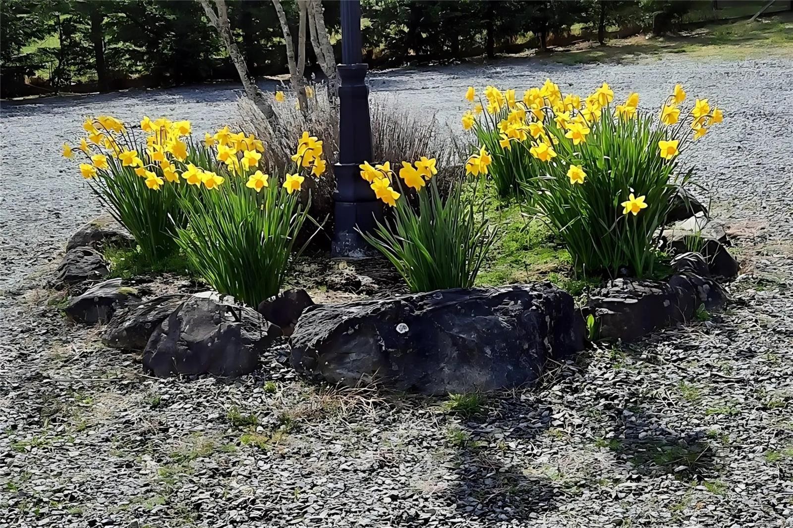 2450/2440 Whistler Rd West, Qualicum Beach, BC