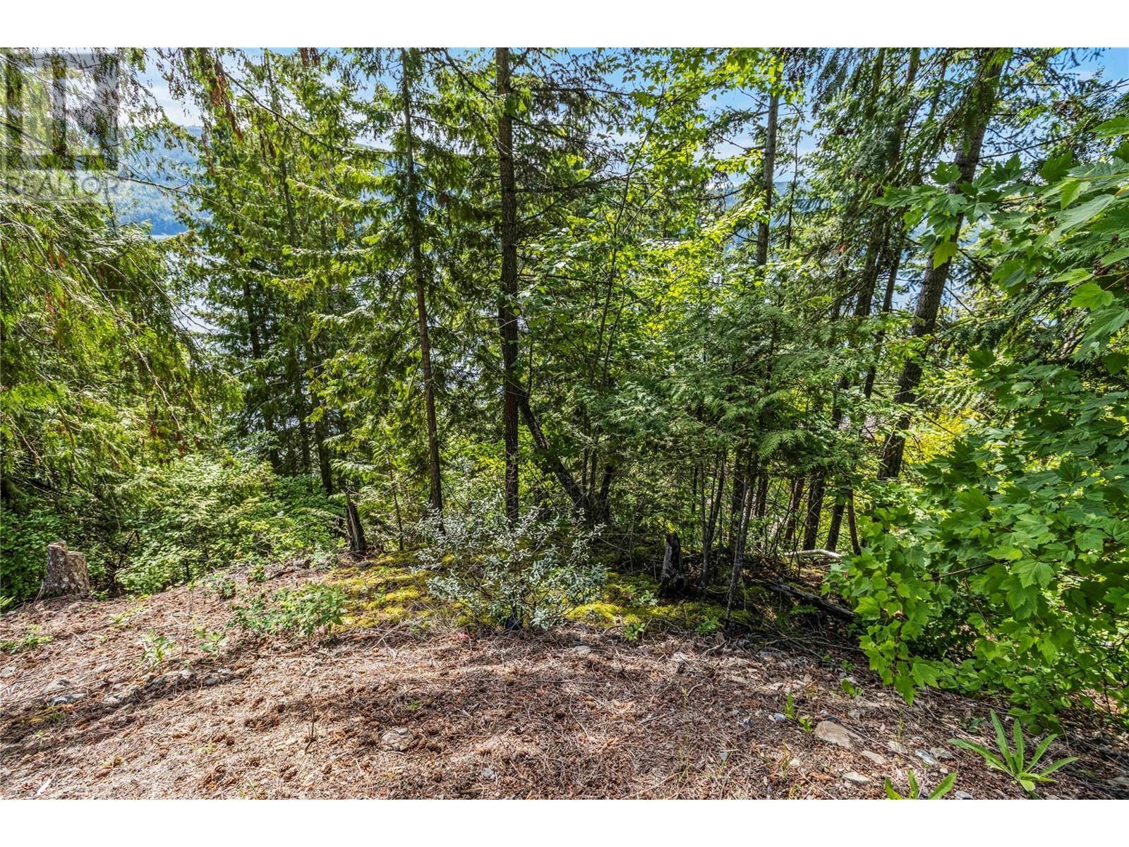 8734 Squilax Anglemont Road, St. Ives, BC