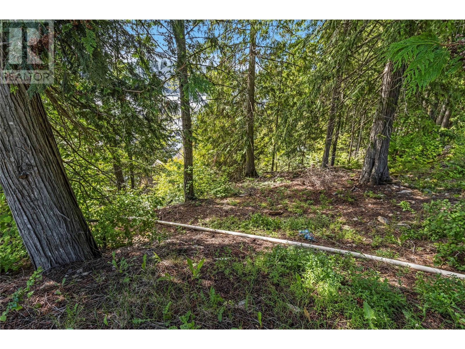 8734 Squilax Anglemont Road, St. Ives, BC