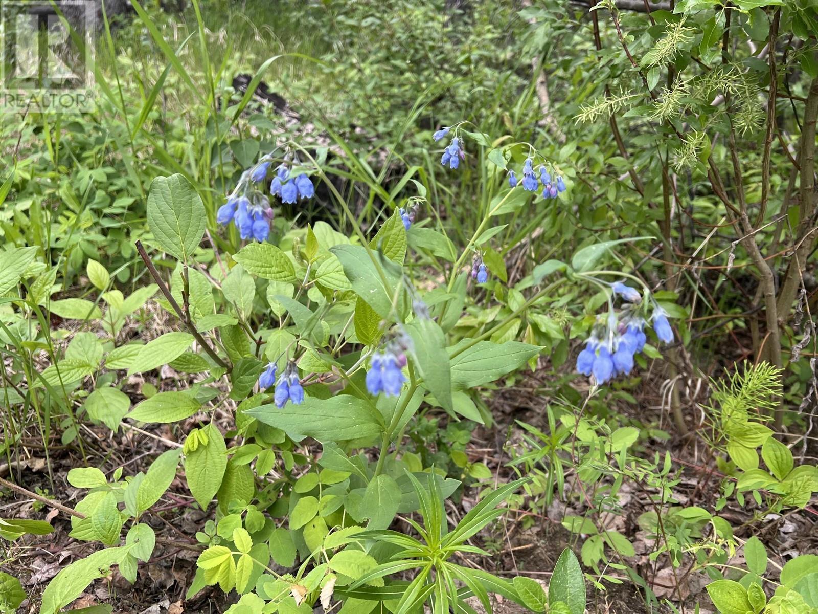 7200 Old Alaska Highway, Fort Nelson, BC