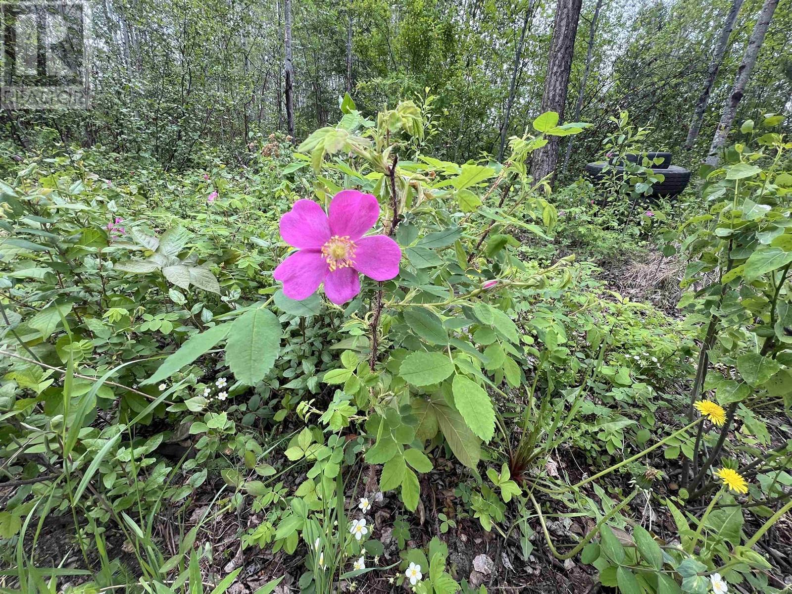 7200 Old Alaska Highway, Fort Nelson, BC