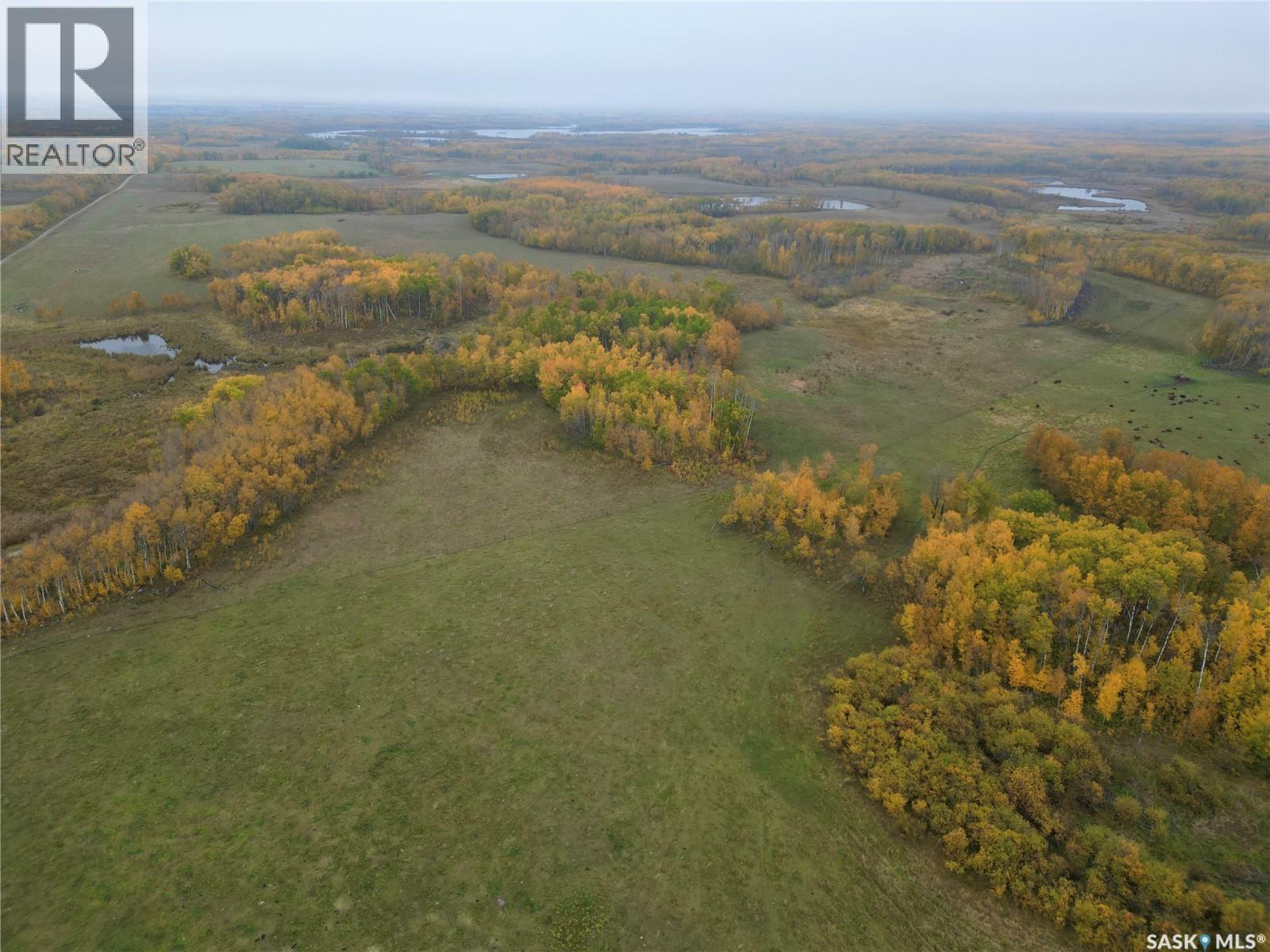 Larson Lake Ranch & Lakefront Property, Spiritwood Rm No. 496, SK