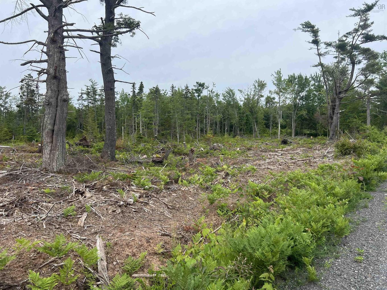 2 Priests Road, Central Caribou, NS