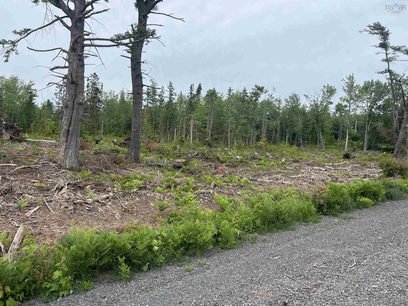 2 Priests Road, Central Caribou, NS