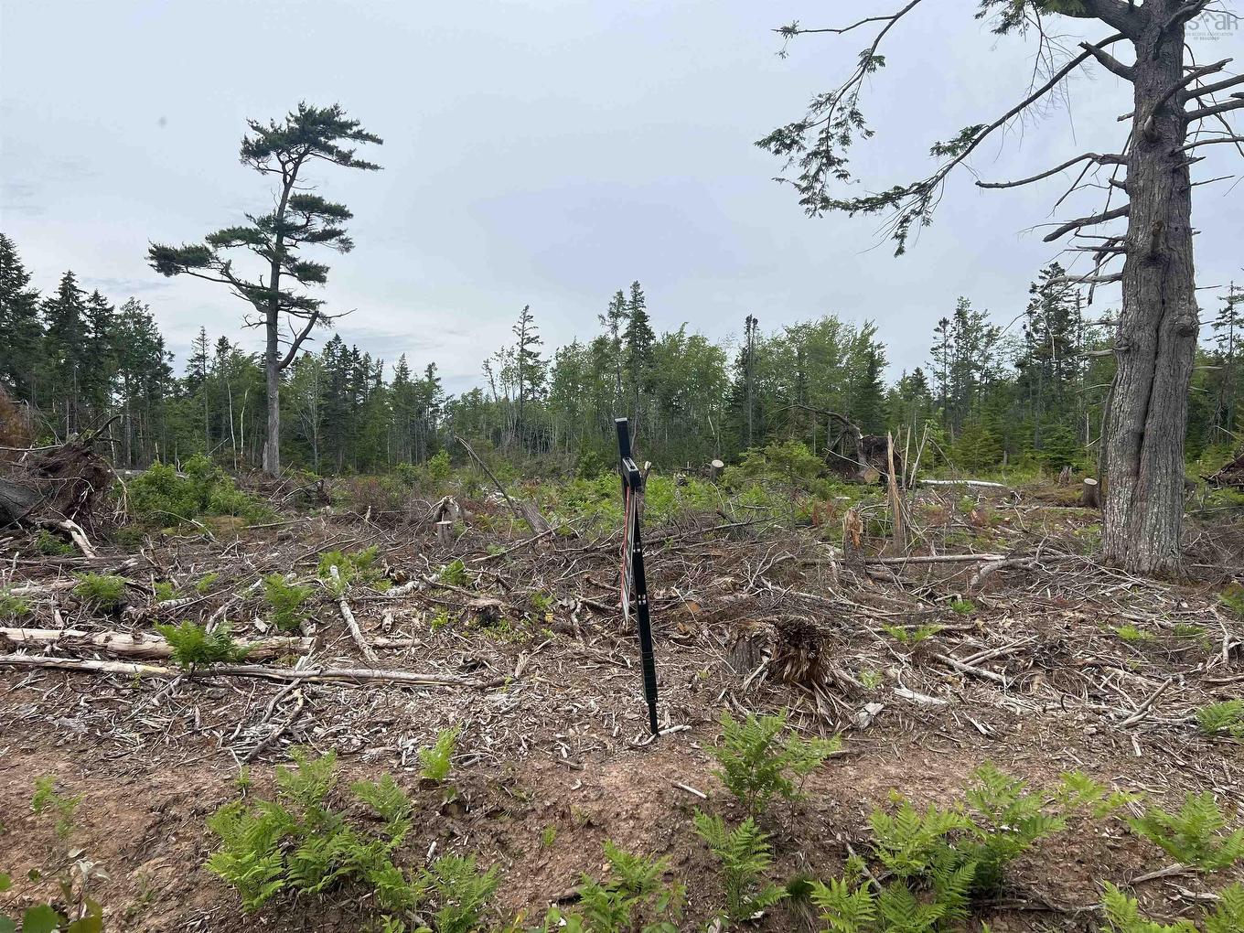 2 Priests Road, Central Caribou, NS