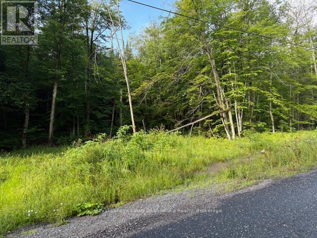 48 Summer Leigh Trail, Huntsville (Stephenson), ON