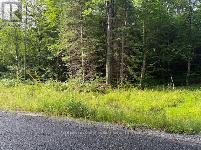 48 Summer Leigh Trail, Huntsville (Stephenson), ON