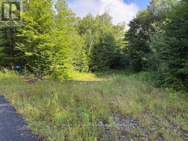 59 Summer Leigh Trail, Huntsville (Stephenson), ON