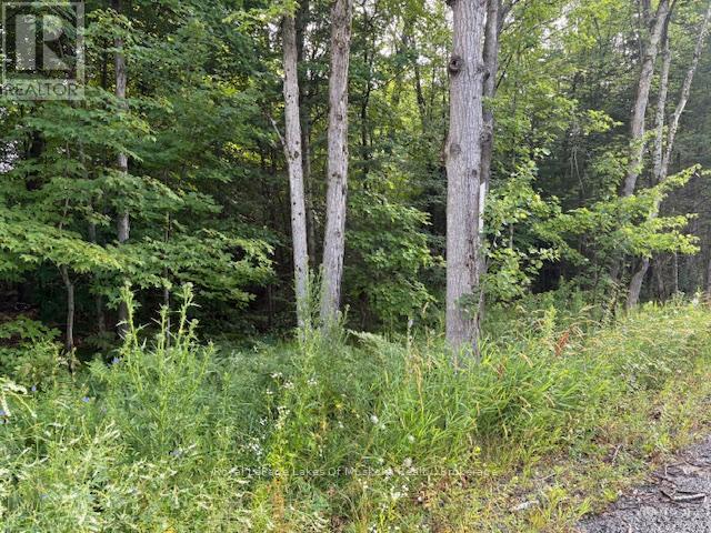 47 Summer Leigh Trail, Huntsville (Stephenson), ON