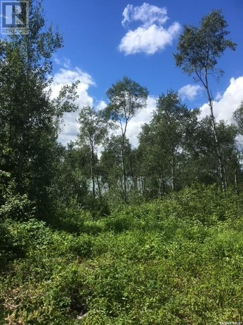 23 Sunset Cove, Big River Rm No. 555, SK