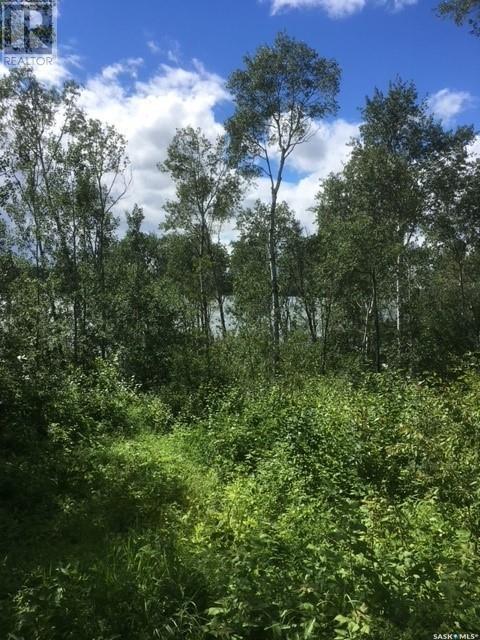 23 Sunset Cove, Big River Rm No. 555, SK