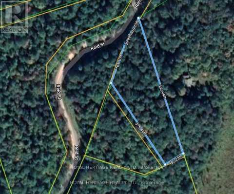 0A Reid Street, Trent Lakes, ON