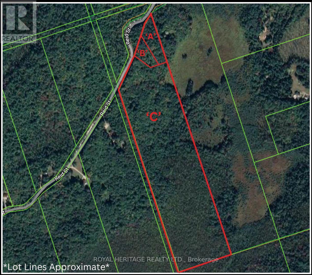 0A Reid Street, Trent Lakes, ON