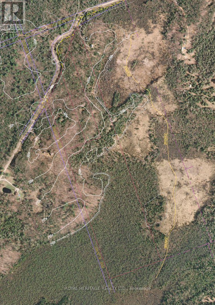 0A Reid Street, Trent Lakes, ON