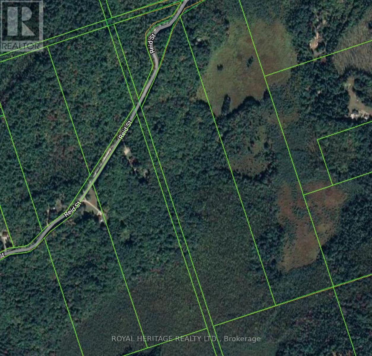 0A Reid Street, Trent Lakes, ON