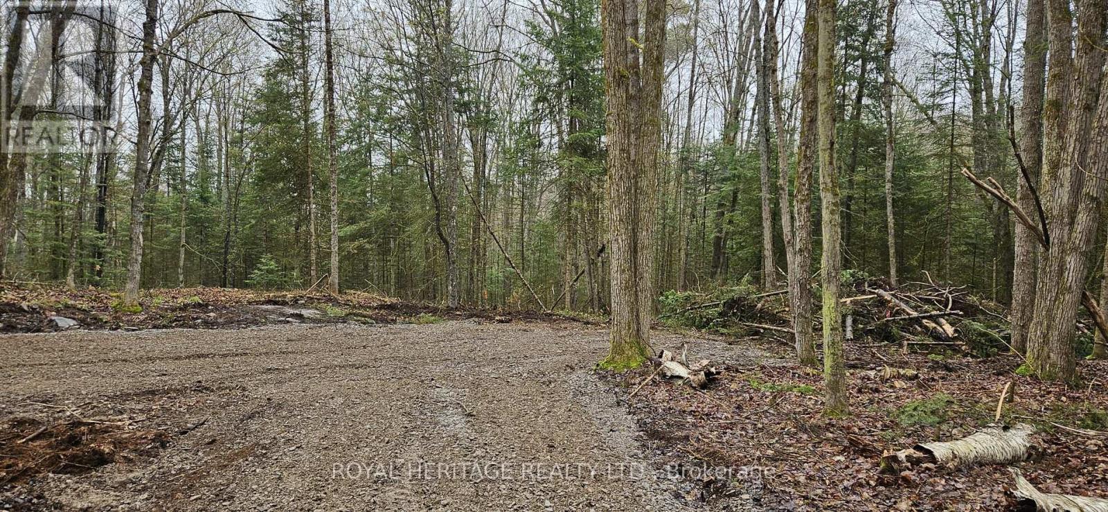 0A Reid Street, Trent Lakes, ON