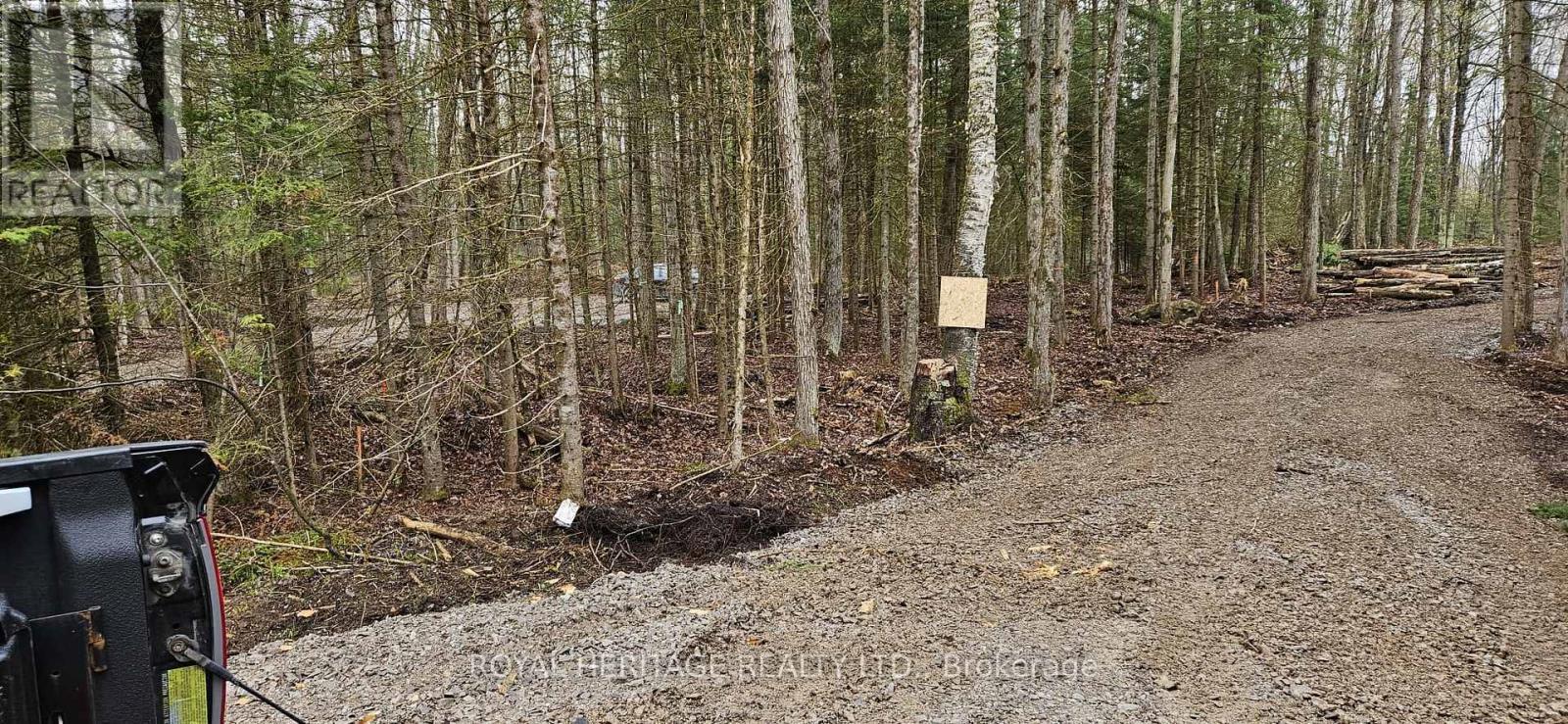 0B Reid Street, Trent Lakes, ON