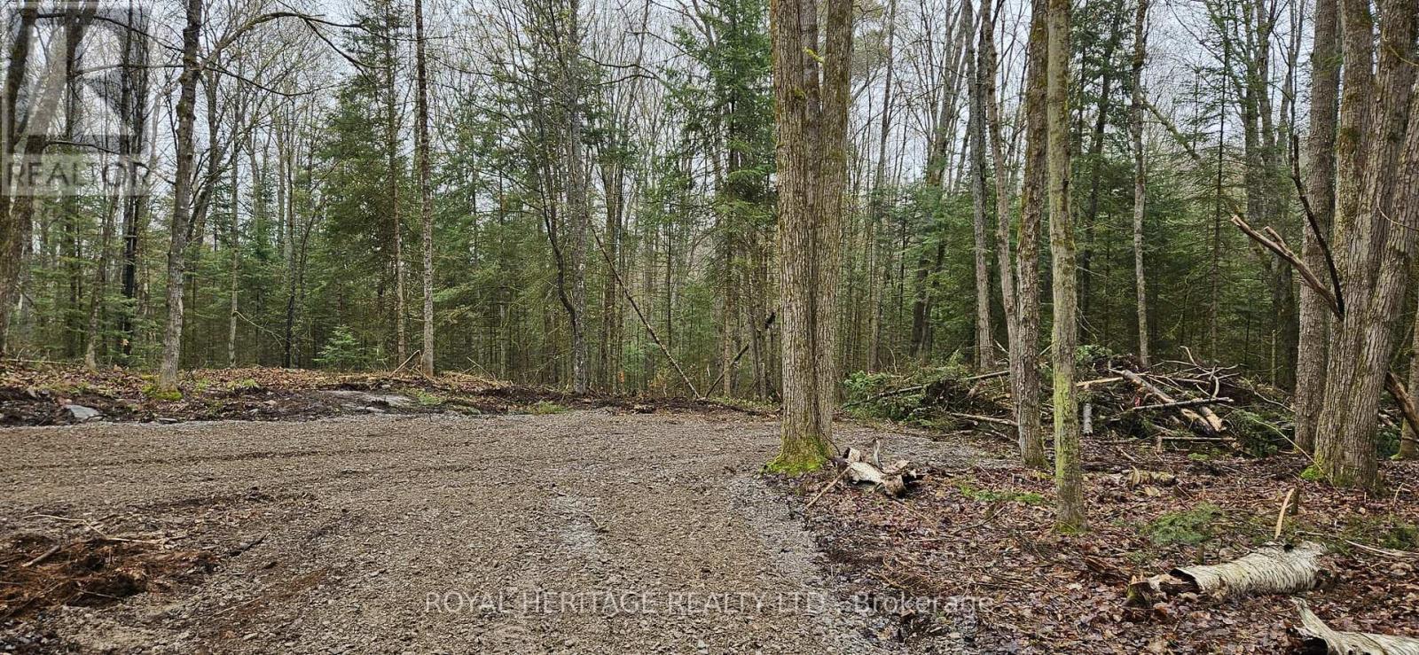 0B Reid Street, Trent Lakes, ON